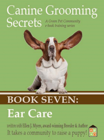 Dog Cleaning Ears, Tools and Recepies, Drying Dogs Ears. Dog Cleaning Ears, Tools and Recepies, Drying Dogs Ears.