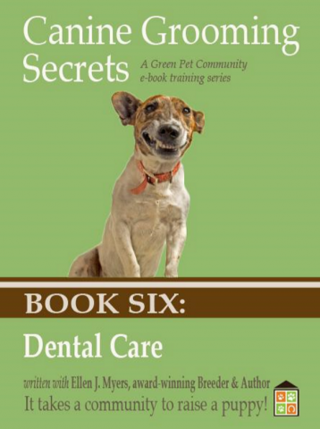 Dog Dental Care, Dog Toothpaste and Brushing Dog’s Teeth.