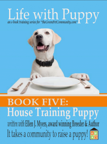 How to Potty Train your Puppy? Training to a Litter Box 
