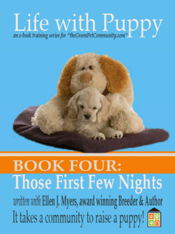 How to get a puppy to sleep through the Firsts Nights How to get a puppy to sleep through the Firsts Nights