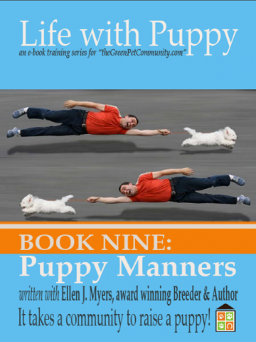 How to train a puppy to walk on a leash, and stop dog from jumping How to train a puppy to walk on a leash, and stop dog from jumping
