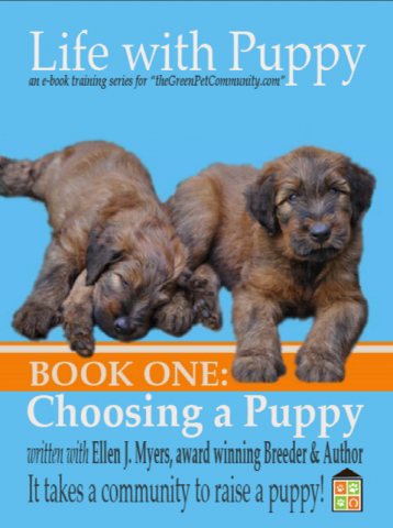 Info on toy dog breeds,cutest dog breeds, hunting dog breeds