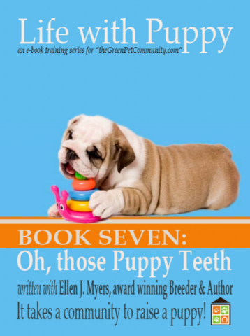 Dental Care for your Puppy or Dogs. Understanding Your Puppy’s Mouth Dental Care for your Puppy or Dogs. Understanding Your Puppy’s Mouth