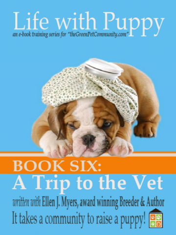 Low cost pet vaccinations, take puppy to the veterinarian Low cost pet vaccinations, take puppy to the veterinarian
