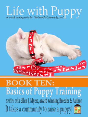 Puppy Training, you will be teaching your puppy, including sit, stay, down and come