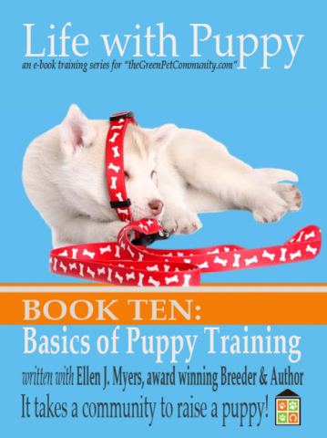 Puppy Training, you will be teaching your puppy, including sit, stay, down and come Puppy Training, you will be teaching your puppy, including sit, stay, down and come