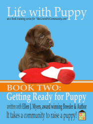Best Puppy Food, Training a Puppy and Puppy Supplies