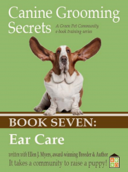 Dog Cleaning Ears, Tools and Recepies, Drying Dogs Ears.