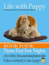 How to get a puppy to sleep through the Firsts Nights