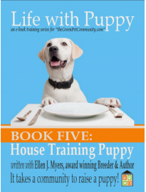 How to Potty Train your Puppy? Training to a Litter Box 