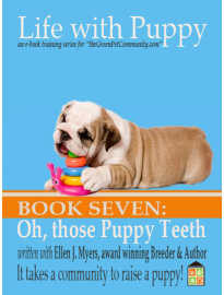 Dental Care for your Puppy or Dogs. Understanding Your Puppy’s Mouth