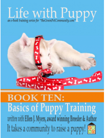 Puppy Training, you will be teaching your puppy, including sit, stay, down and come