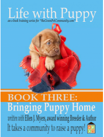 How to House train a Puppy, Bringing Puppy Home, At Breeder’s